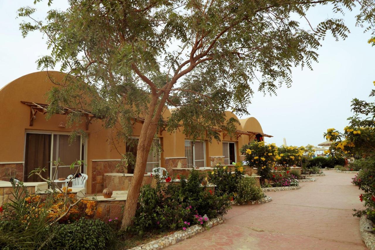 El Qoseir Silver Beach Boutique Hotel (Adults Only) מראה חיצוני תמונה