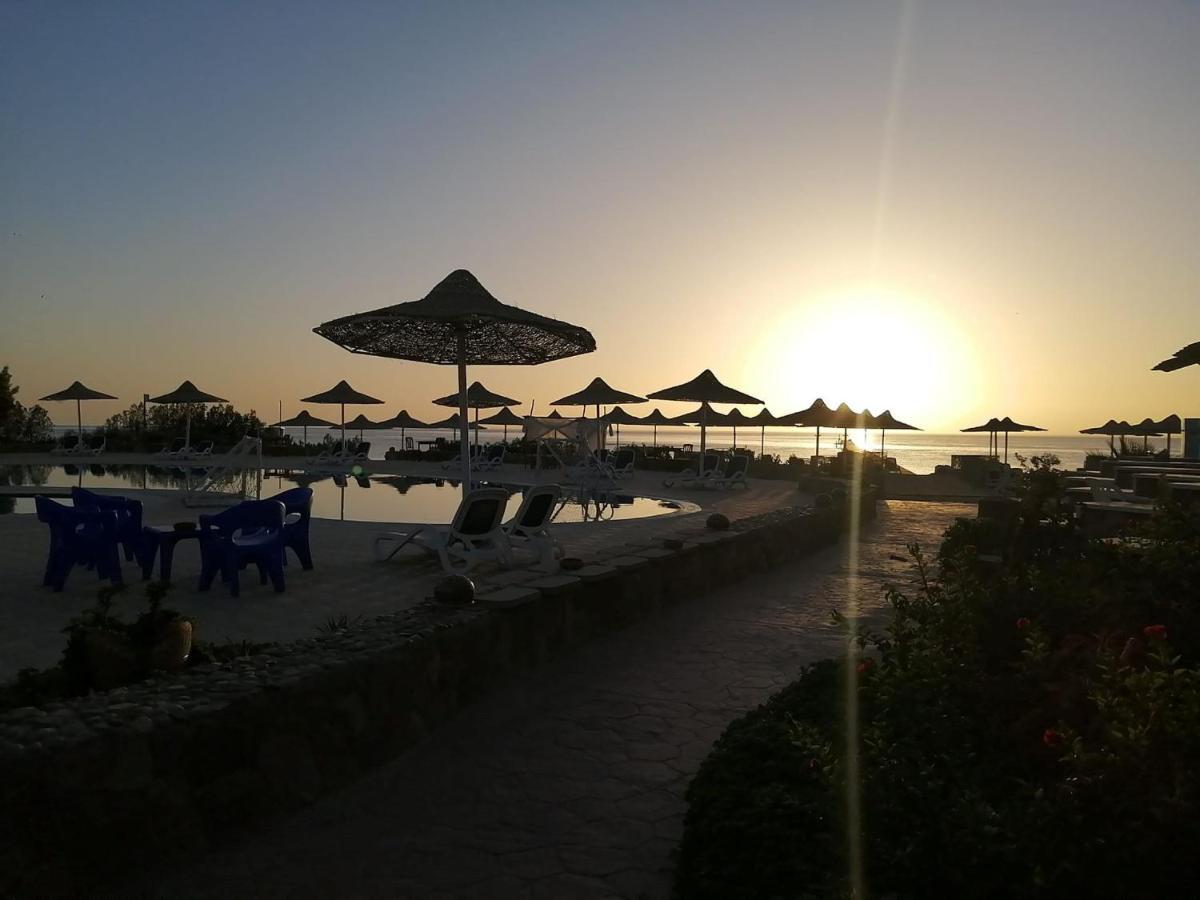 El Qoseir Silver Beach Boutique Hotel (Adults Only) מראה חיצוני תמונה