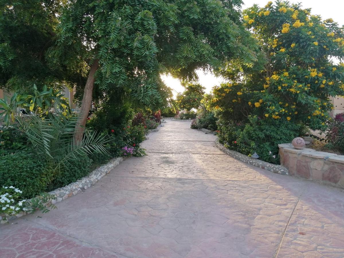 El Qoseir Silver Beach Boutique Hotel (Adults Only) מראה חיצוני תמונה