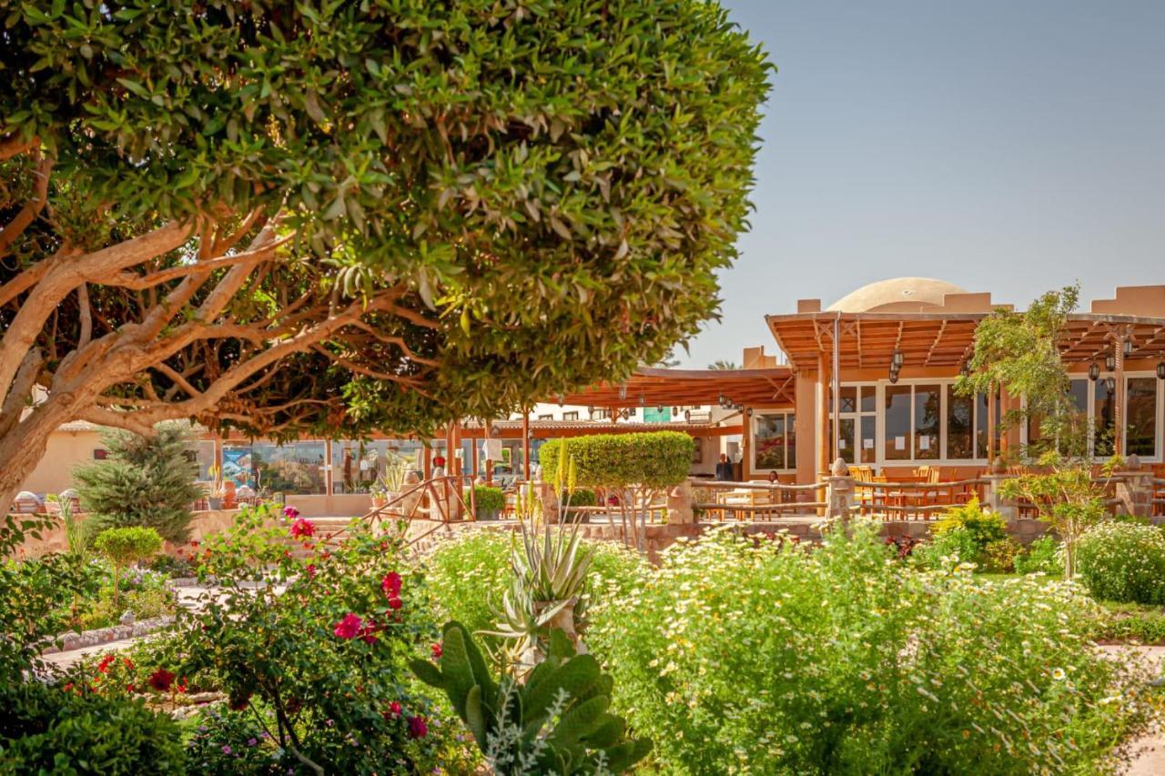 El Qoseir Silver Beach Boutique Hotel (Adults Only) מראה חיצוני תמונה
