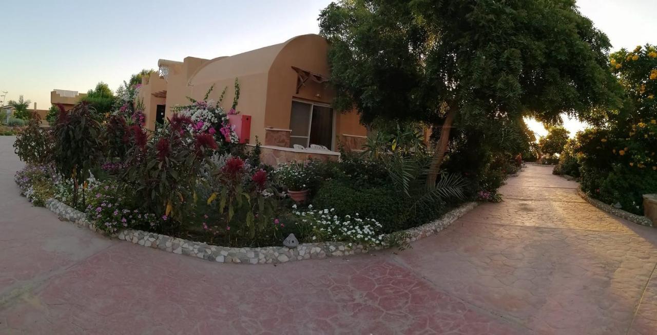 El Qoseir Silver Beach Boutique Hotel (Adults Only) מראה חיצוני תמונה