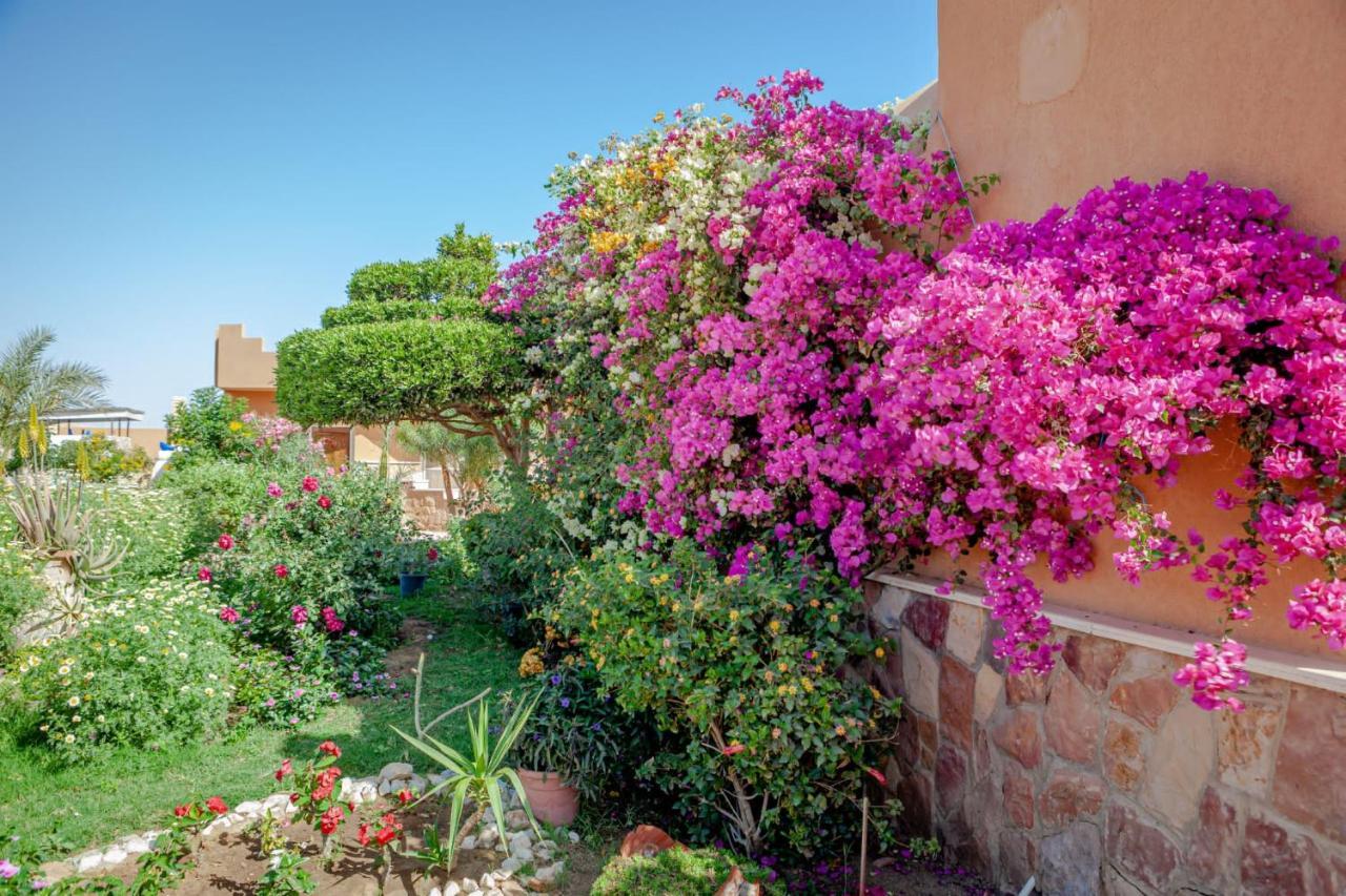 El Qoseir Silver Beach Boutique Hotel (Adults Only) מראה חיצוני תמונה